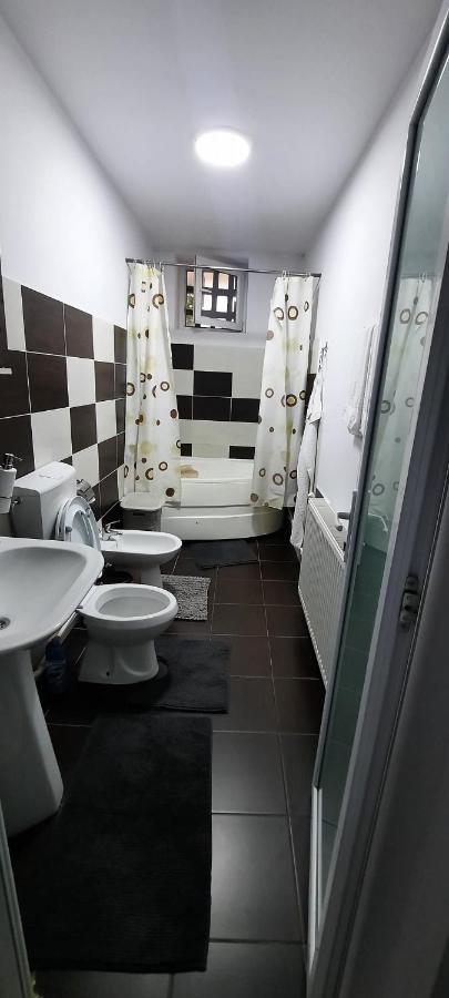 Apartament La Denis Birlad Bagian luar foto